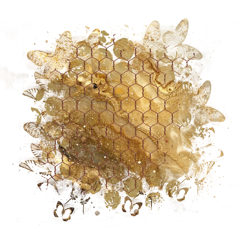 2025-designsbyforteelement-350