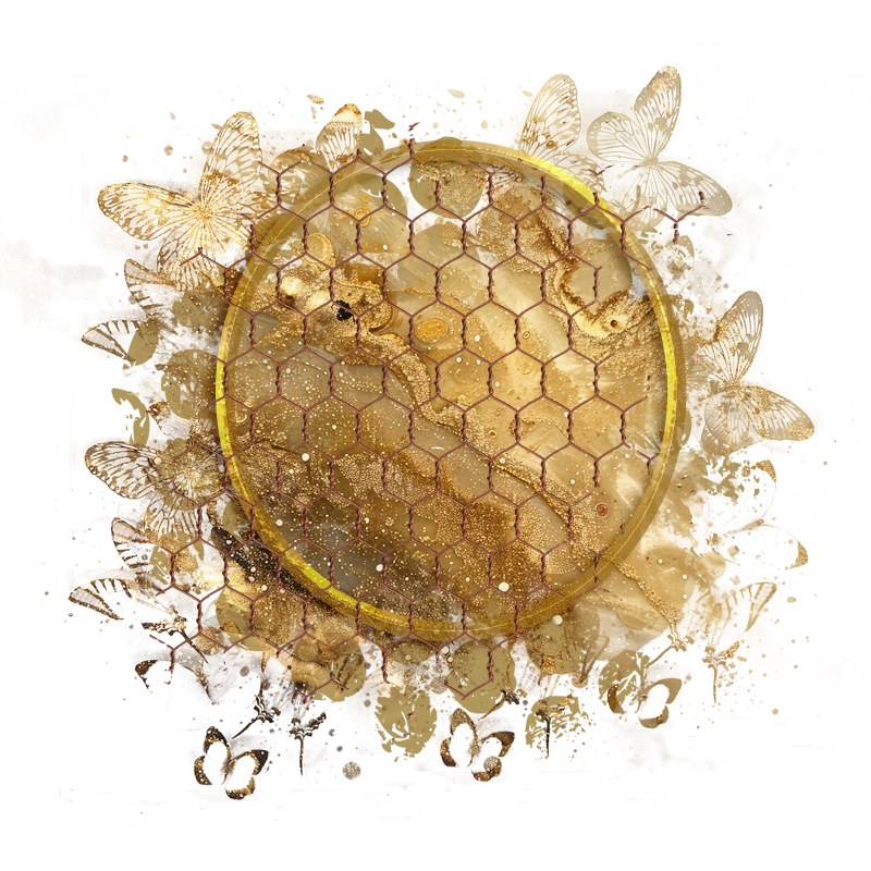 2025-designsbyforteelement-351