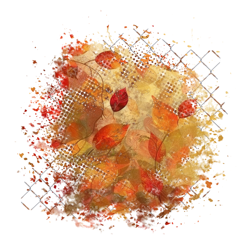 2025-designsbyforteelement-370