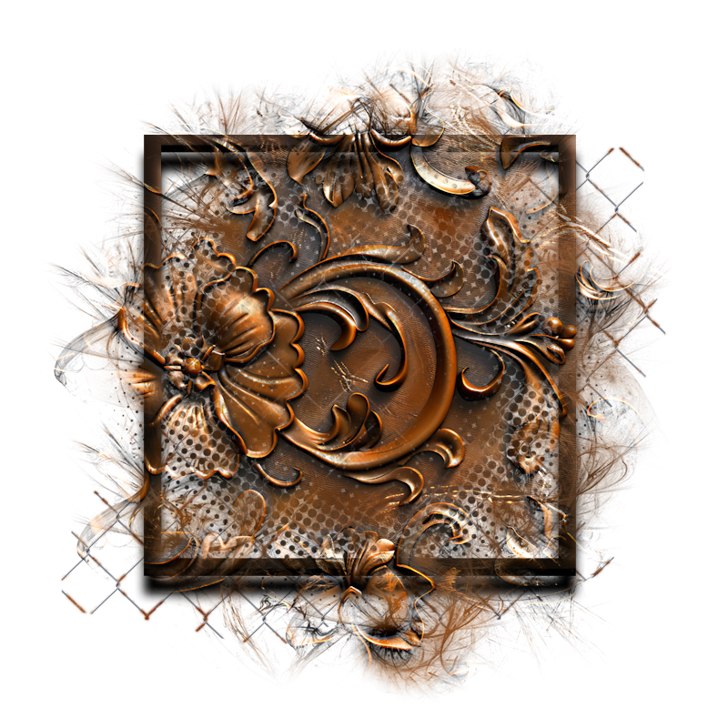 2025-designsbyforteelement-431