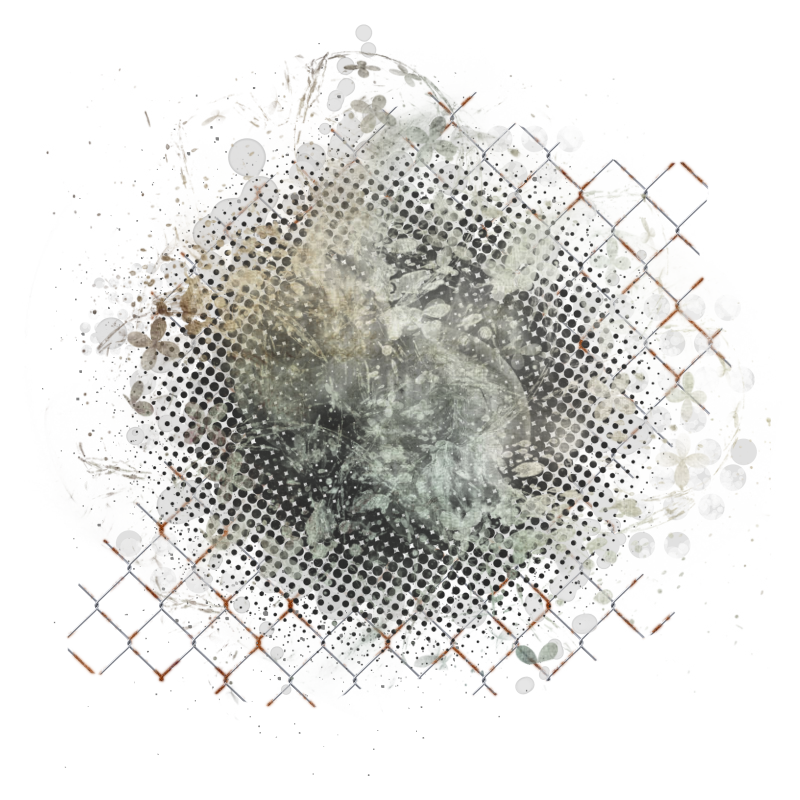 2025-designsbyforteelement-462