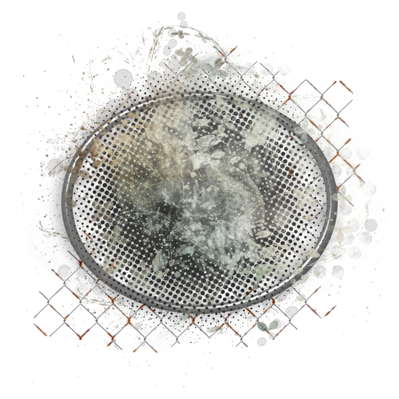 2025-designsbyforteelement-463