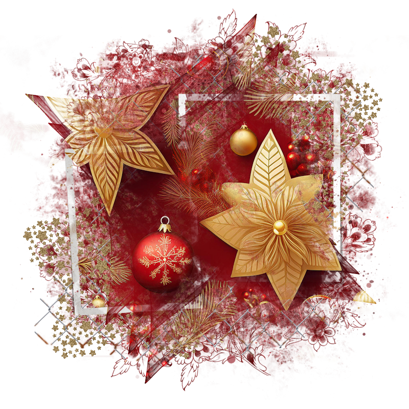 2025-designsbyforteelement-473
