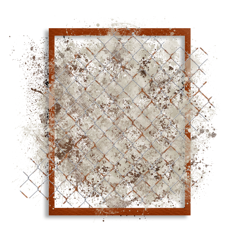 2025-designsbyforteelement-74