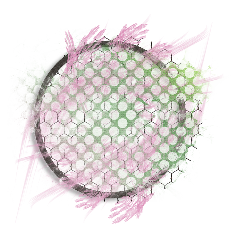 2025-designsbyforteelement-96
