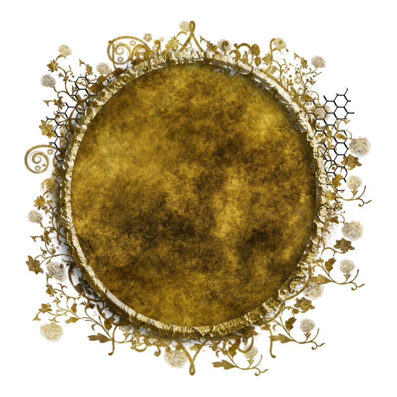 2025-designsbyforteelement-98