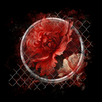 2026-designsbyforteelement-365 2026-designsbyforteelement-365