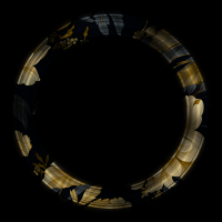 2026-DesignsbyForteFrames-142