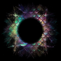 2026-DesignsbyForteFrames-193