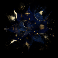 2026-DesignsbyForteCelestial-280