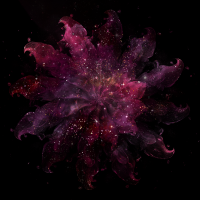 2026-DesignsbyForteCelestial-282