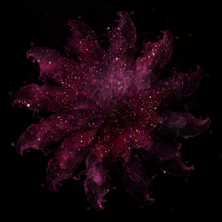 2026-DesignsbyForteCelestial-284