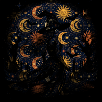 2026-DesignsbyForteCelestial-334