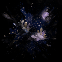 2026-DesignsbyForteCelestial-346