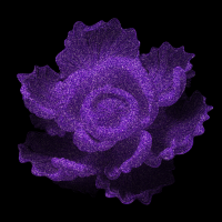 2026-DesignsbyForteGlitter-12