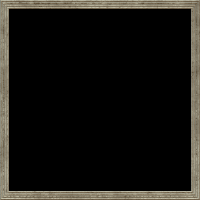 theasylumframe1000x1000-001