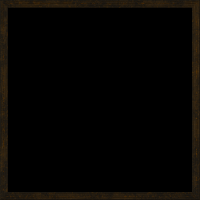 theasylumframe1000x1000-007