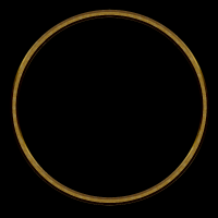 2026-DesignsbyForte800x800Frame-030