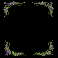 2026-DesignsbyForte800x800Frame-151