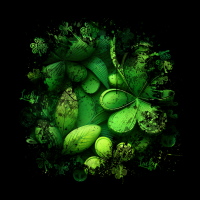 2026-StPattysMaskedTextures800x800-11 2026-StPattysMaskedTextures800x800-11
