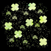 saintpatricksdaytrans800x800-108