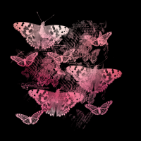 2025-DesignsbyForteButterflisMasked-09
