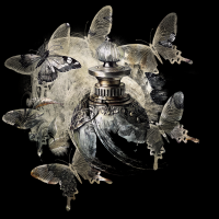 2026-DesignsbyForteButterflyMasked-004 2026-DesignsbyForteButterflyMasked-004