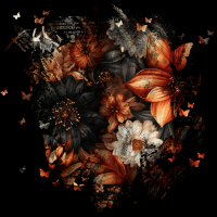 2026-DesignsbyForteButterflyMasked-165 2026-DesignsbyForteButterflyMasked-165