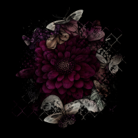 2026designsbyforte02-007