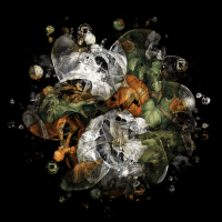 2026-DesignsbyForteFall-06