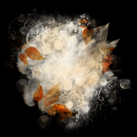 2026-DesignsbyForteFall-72