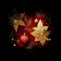 2025-DesignsbyForteXmasMasked-05