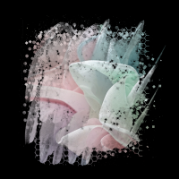 2025-DesignsbyForteMasked800x800-087