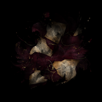 2026-DesignsbyForteGothic-026 2026-DesignsbyForteGothic-026