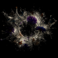 2026-DesignsbyForteGothic-057