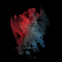 2025-DesignsbyForteMasked800x800-129