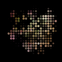 2025-DesignsbyForteMasked800x800-172