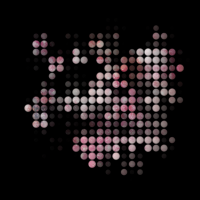 2025-DesignsbyForteMasked800x800-173 2025-DesignsbyForteMasked800x800-173