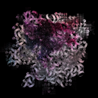 2025-DesignsbyForteMasked800x800-180