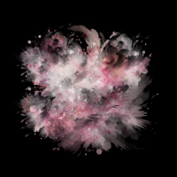 2025-DesignsbyForteMasked800x800-169