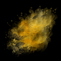 2025-DesignsbyForteMasked800x800-193