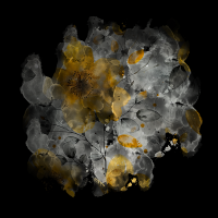 2025-DesignsbyForteMasked800x800-197