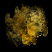 2025-DesignsbyForteMasked800x800-198