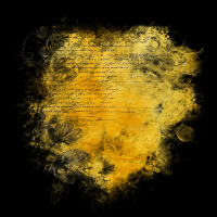 2025-DesignsbyForteMasked800x800-203 2025-DesignsbyForteMasked800x800-203