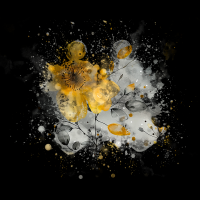 2025-DesignsbyForteMasked800x800-217