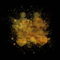 2025-DesignsbyForteMasked800x800-219
