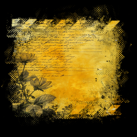 2025-DesignsbyForteMasked800x800-216