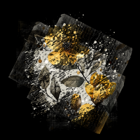 2025-DesignsbyForteMasked800x800-226