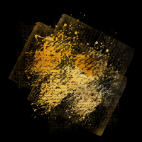 2025-DesignsbyForteMasked800x800-230