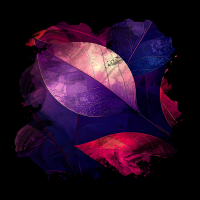 2025-DesignsbyForteMasked800x800-234 2025-DesignsbyForteMasked800x800-234